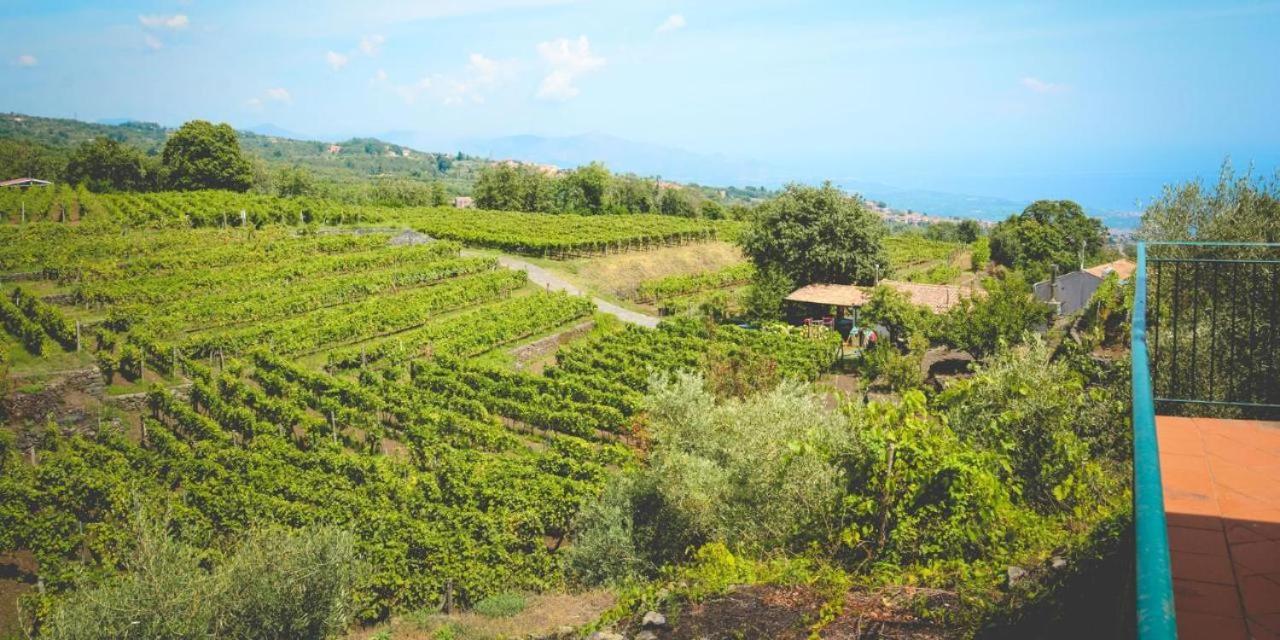 Agriturismo Le Case Del Merlo Milo Bagian luar foto