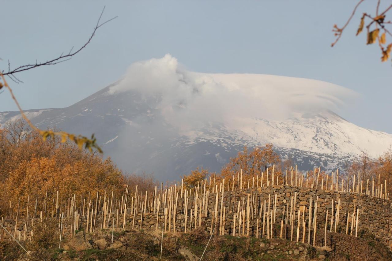 Agriturismo Le Case Del Merlo Milo Bagian luar foto