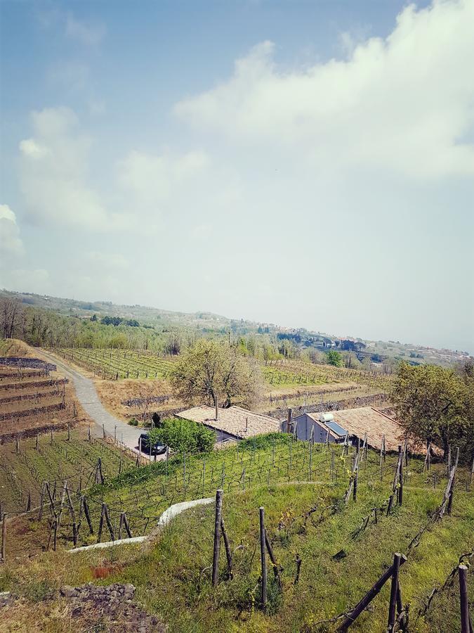 Agriturismo Le Case Del Merlo Milo Bagian luar foto